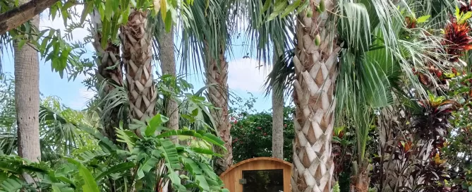 About Jardin Secret Wellness Spa & Our Story